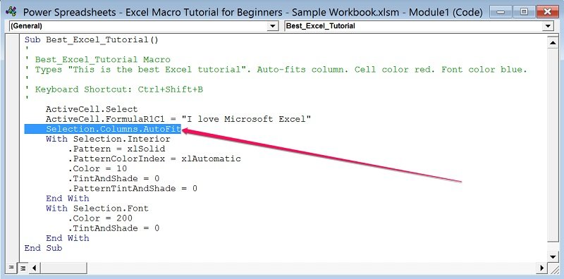 Example of Visual Basic for Applications code with auto-fit statement highlighted